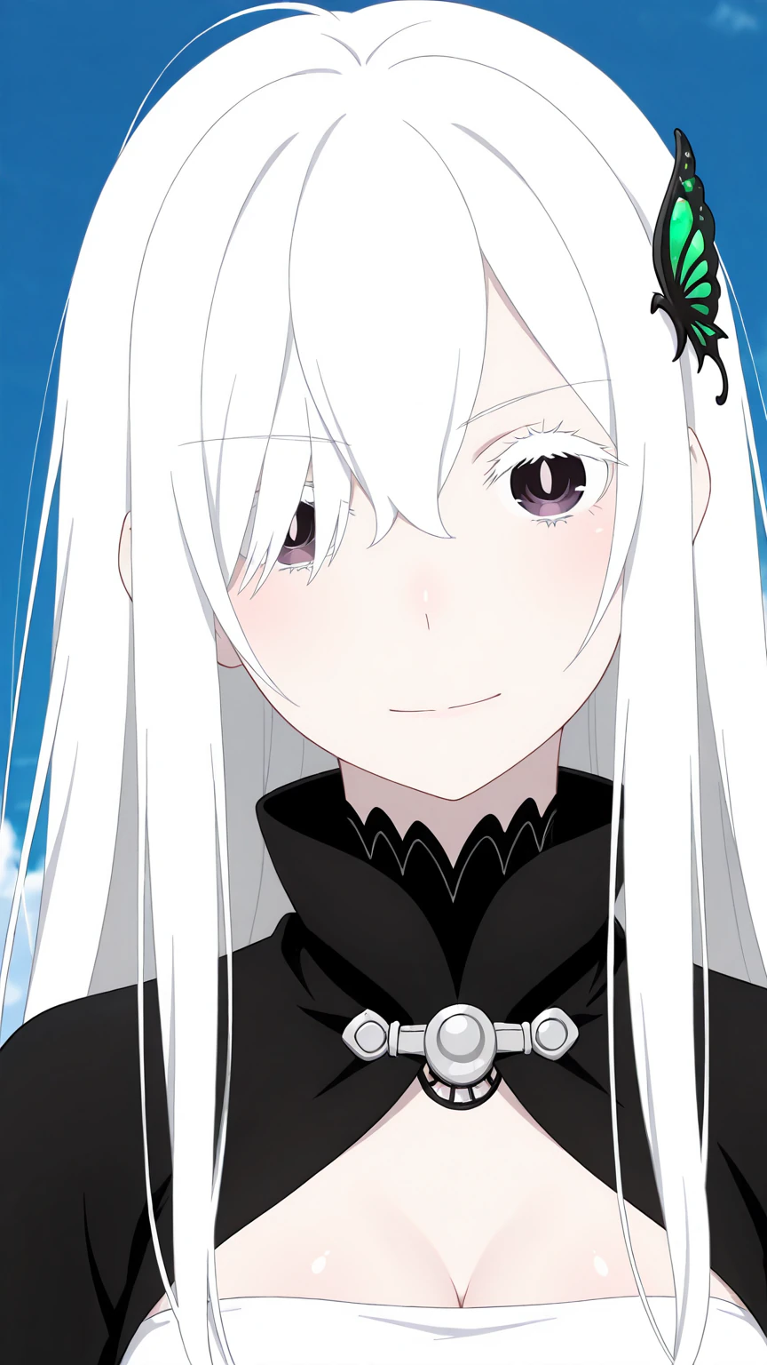Echidna